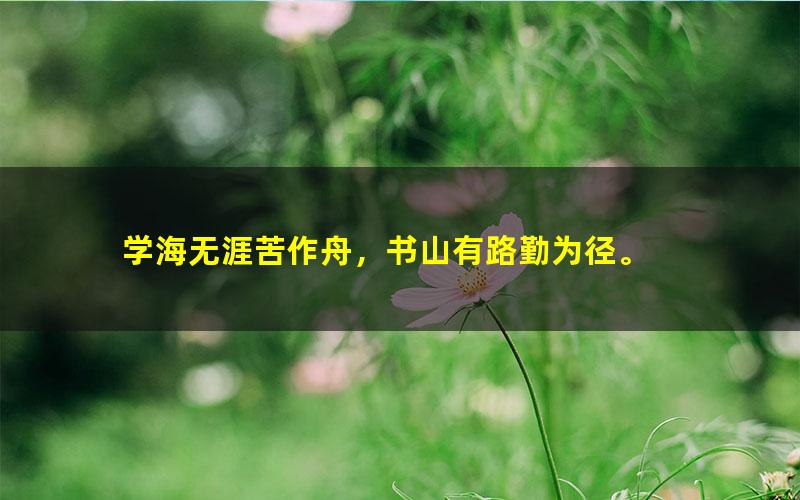 [百度云网盘]外滩教育编程python编程冬令营入门级课程