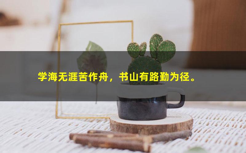 [百度云网盘]Sam 恶魔奶爸影响100万人的英语学习方法完结